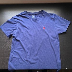 Polo T Shirt (Blue)